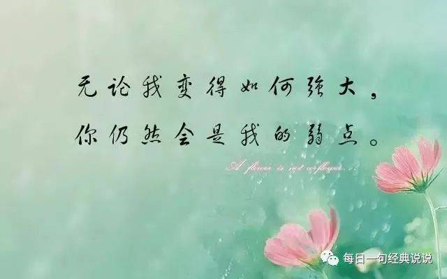 新媒体时代的互动新风尚：发表说说的艺术