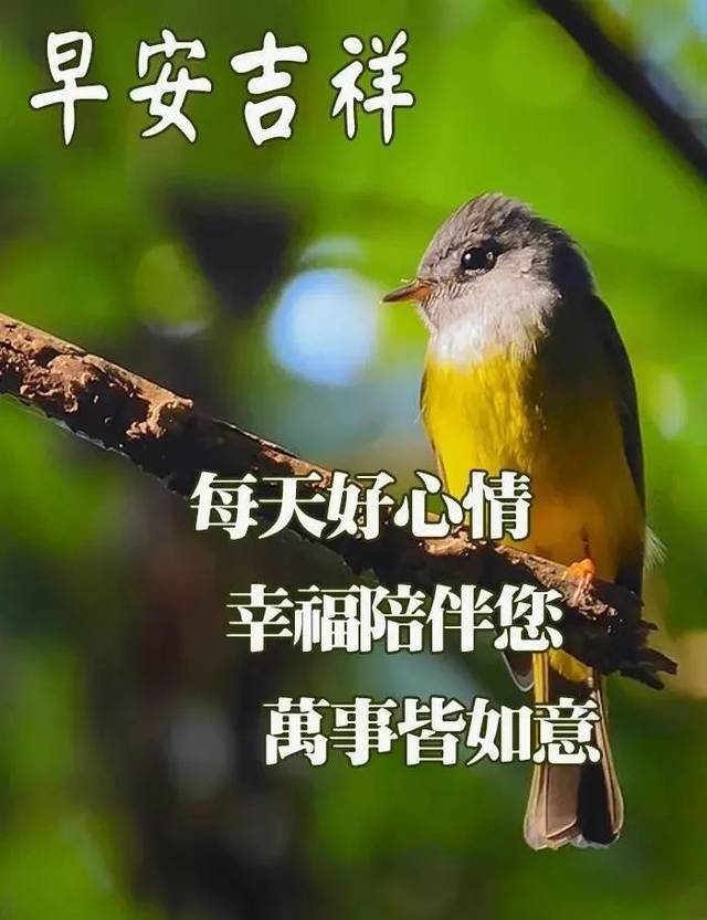 问候早上好图片带字动态表情 早上好图片问候祝福语句子
