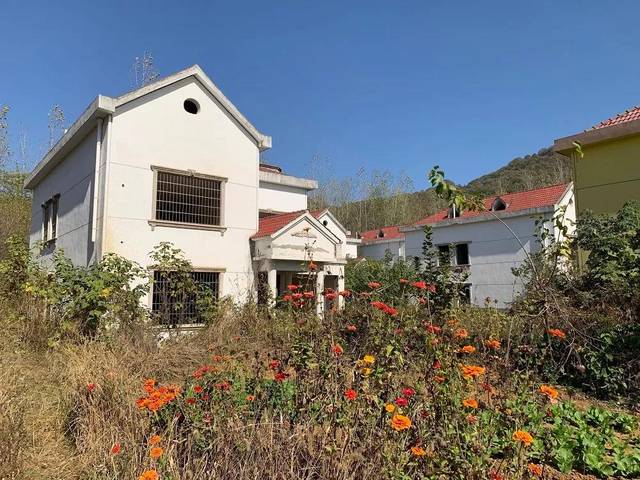 河南信阳73栋违建别墅背后边规划边施工边办证政策