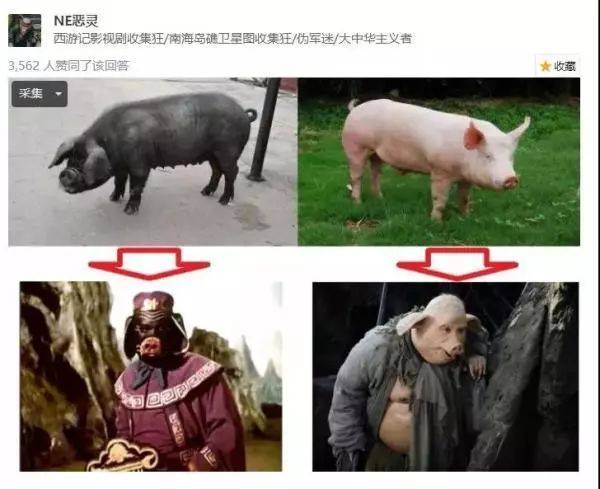 猪八戒到底是黑猪还是白猪用python爬了知乎沙雕问题笑死个人了