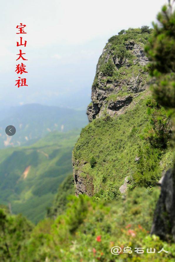 又见金风绣锦杉!顺昌上湖银杏黄了
