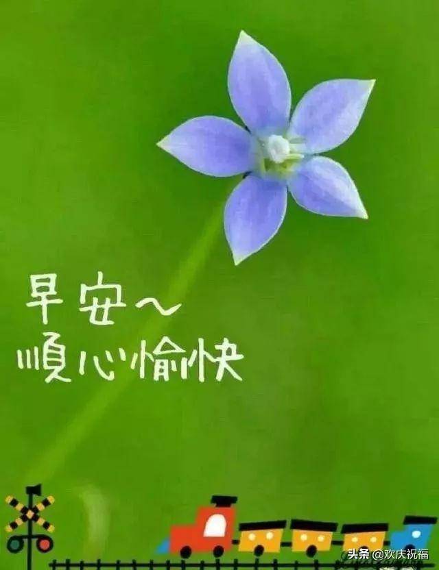 早上好唯美问候语 早安祝福语漂亮图片