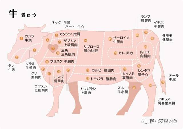 日式焼肉|超实用的和牛各部位介绍与日文名称对照_手机搜狐网