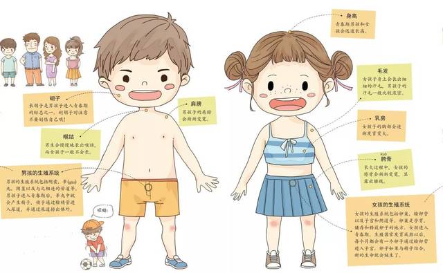 我们的身体里原来藏着这么多的秘密