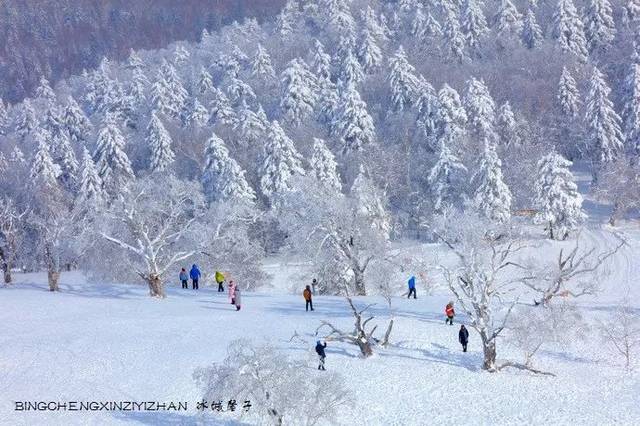 雪谷冰雪画廊，气势恢弘的林海雪原水墨画卷_搜狐网