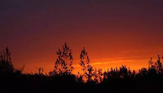 小提琴大师吕思清的8首优美小提琴曲,收藏了!