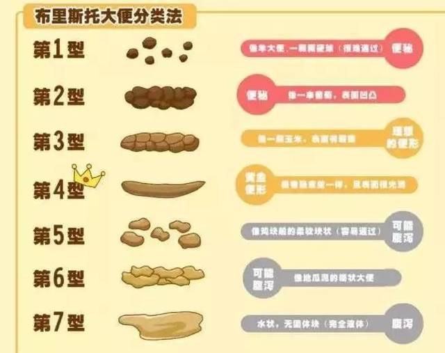 皇家医务室的医生根据近2000人的肠道运动,设计了布里斯托大便分类法