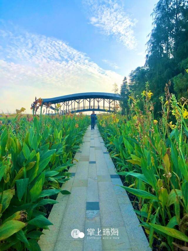 珠海又增一處溼地公園!景美人少,現在去剛剛好!