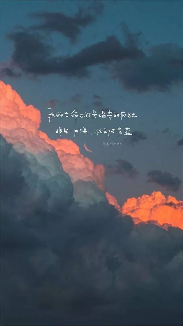 抖音壁纸精选丨今日壁纸