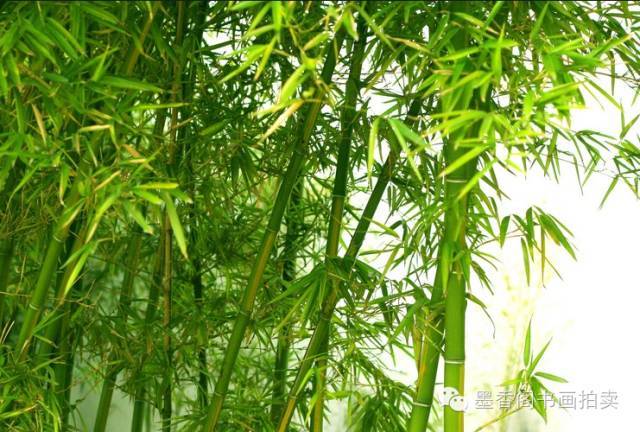 国画教程：写意竹子画法（值得收藏）_搜狐网