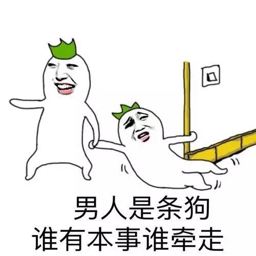 斗图表情包:狗行天下,吃屎