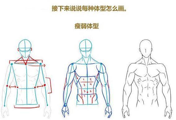 推薦男性肌肉繪畫技巧非常全面的漫畫動漫男性身材繪畫技巧