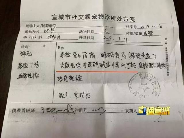 狗狗宠物店洗澡离奇死亡,店主:没责任,不赔偿.