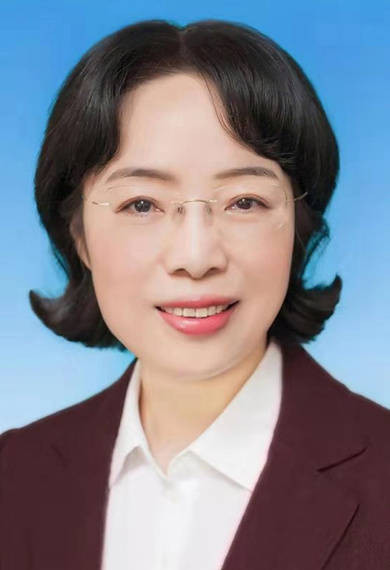 北京市副市长女老虎图片