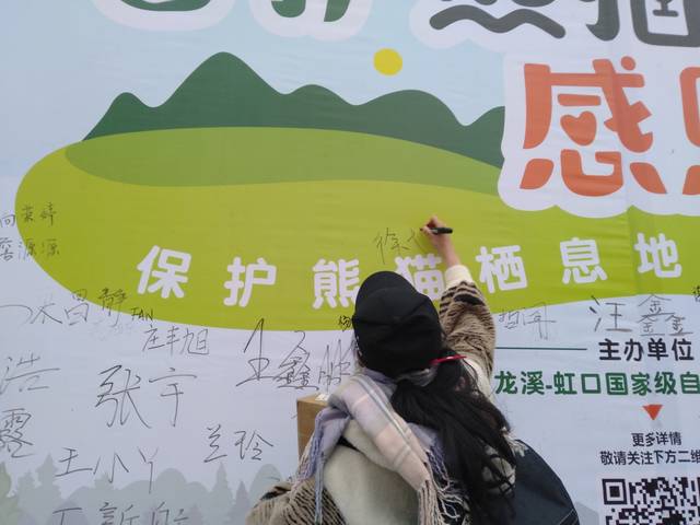 野生大熊猫栖息地露营是什么体验?小伙伴们周