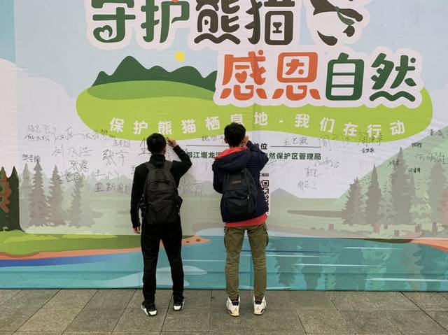 野生大熊猫栖息地露营是什么体验?小伙伴们周