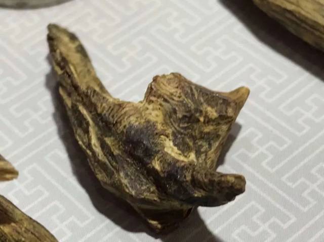 奇楠沉香--众香三千，唯棋翘首_脾胃