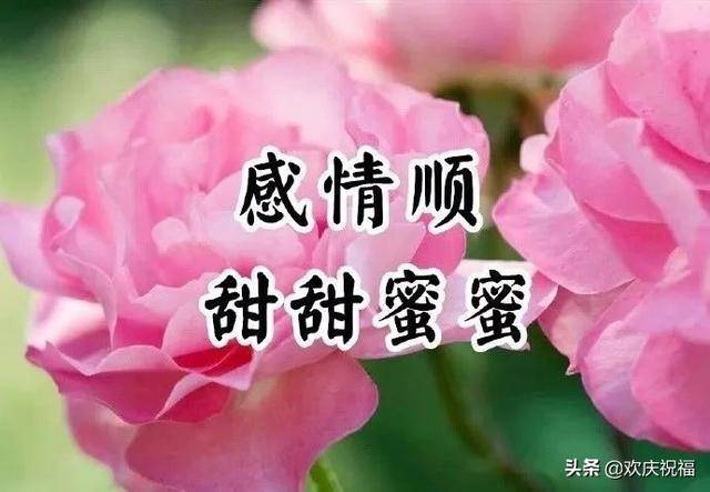 12月1日早上好問候語,微信早晨最美的早安祝福語圖片