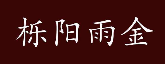 栎阳雨金的出处释义典故近反义词及例句用法成语知识