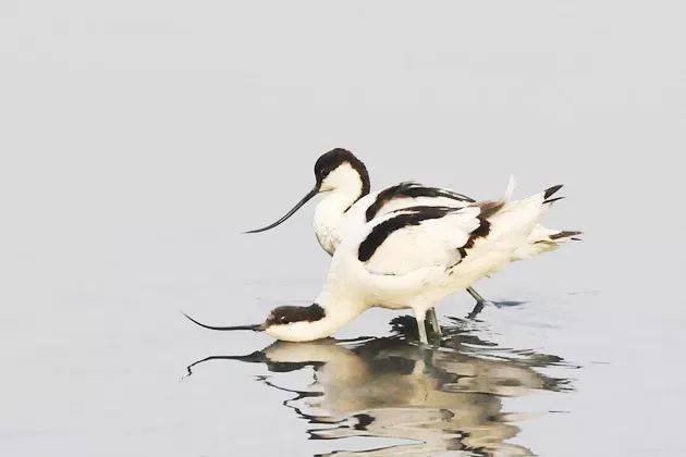 【廉洁家风小故事】"互为镜,心相廉"是她家的幸福密码_手机搜狐网