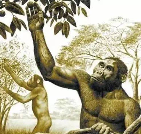 《人类简史》中的30则经典语录,从动物到上帝,道尽历史沧桑巨变