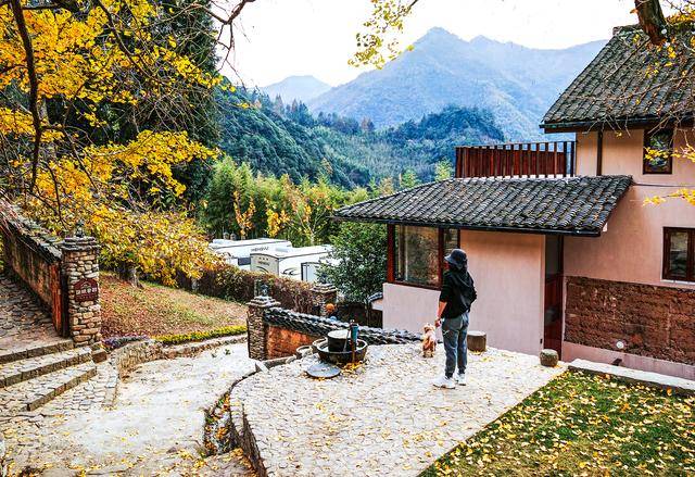 一到秋天,杭州就成了临安,秋叶浪漫的山林,有梦里的家园