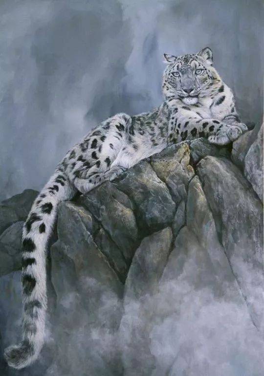 雪豹 原画 猫 #158 雪豹 原画 猫 #158