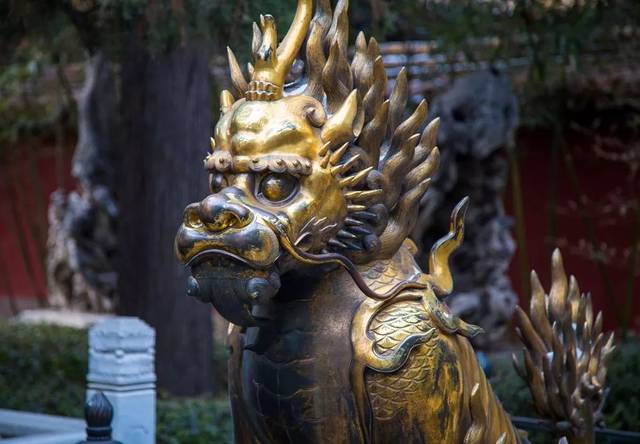 67俗话说"麒麟出没,必有祥瑞",慈宁宫门口这对金麒麟到底有何特别?
