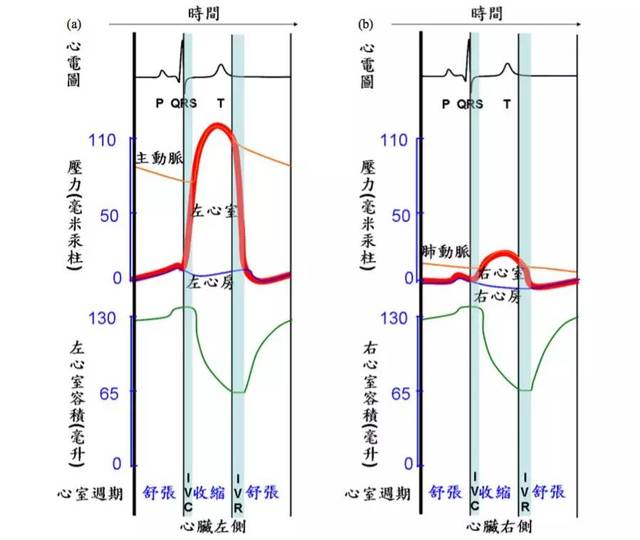 超声心动图十大基本功4.2:舒张功能正常人群的超声特点