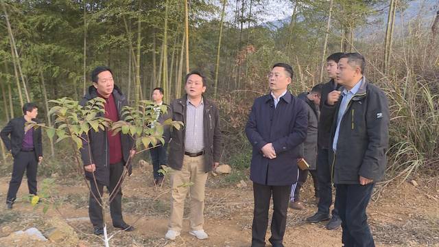 阳新新闻:王建华在王英镇督办精准扶贫工作