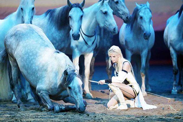 美女驯马师:马匹是传达宇宙力量的天使