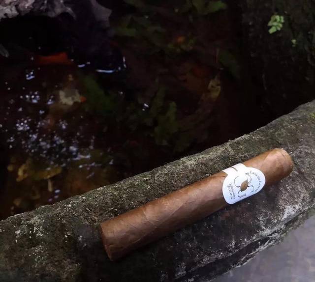 五大罗布图雪茄深度测评,到底哪一款更适合你?