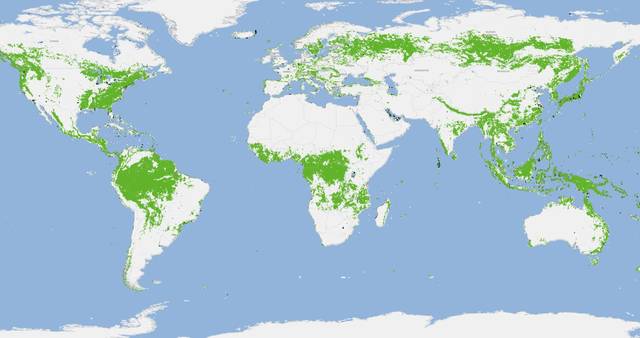 ESA公布第1张碳系图，我国森林覆盖率高，18年增长率达26.90%
