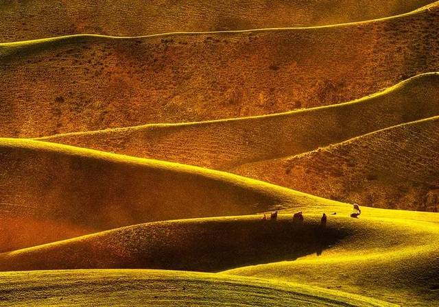 大自然的线条之美如此壮美