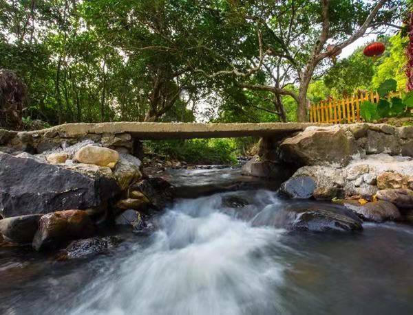 深圳还有这么好玩的地方深圳龙岗坪山金龟村