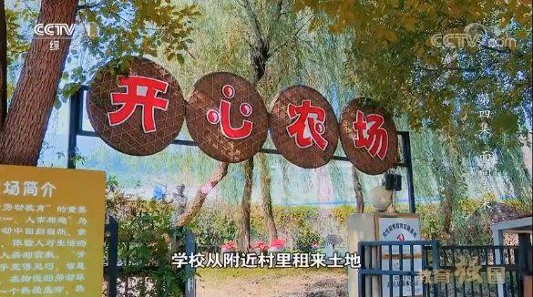 把村里租来的土地,改造成"开心农场" 从简单的"农事体验"主题活动,到