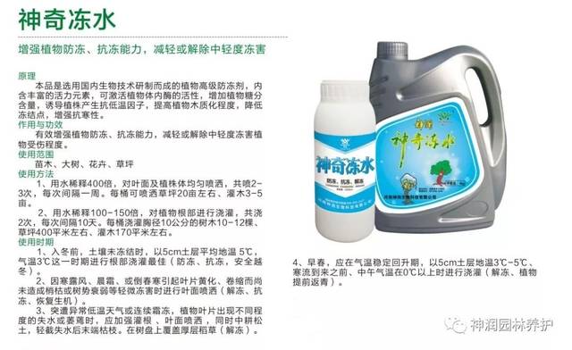 园林植保分享 冬季草坪浇水须知 冬天铺草皮要浇水吗 Urpimp网