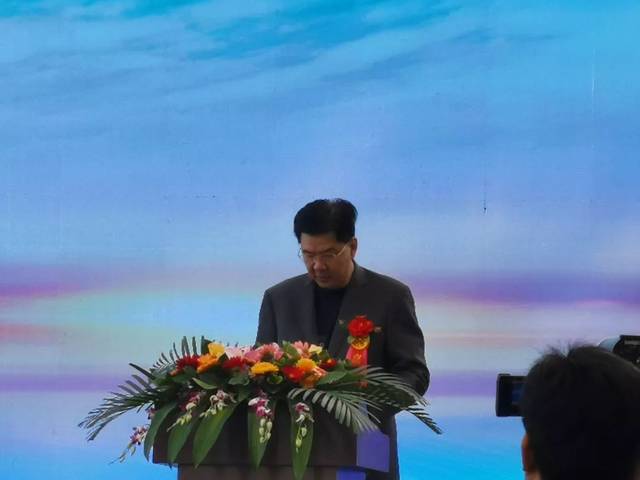 揭阳市副市长陈定雄发言