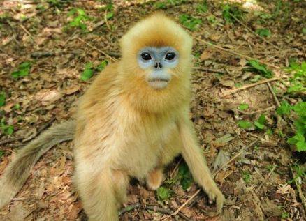 原创三月九号起,喜气洋洋的4生肖,大富大贵,鼠年大吉大利