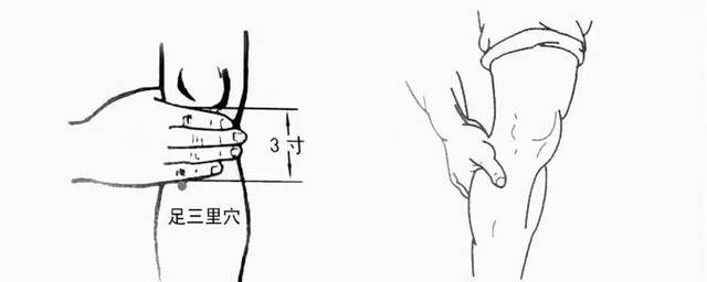 犊鼻怎么扎图片