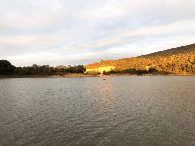 一库一世界一竿一天堂观洞水库钓点纪实