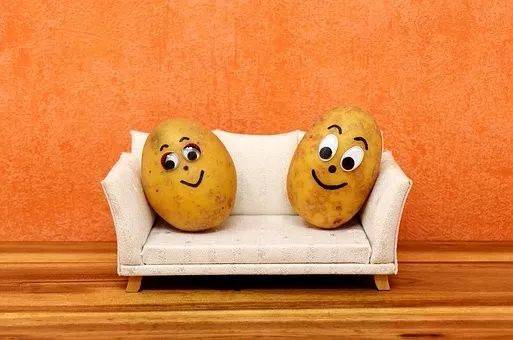 例句: it is just a dream for me to turn into a couch potato