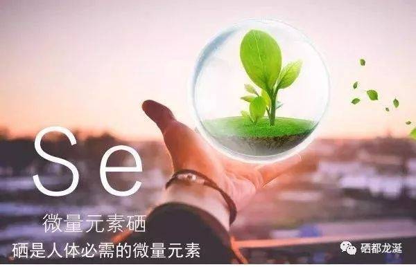 经常吃含有这种微量元素的食物,能赶走胃病?