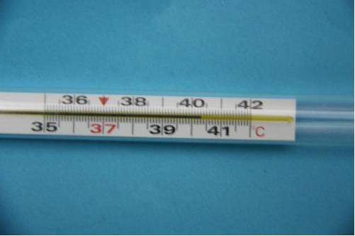 星期天,丽莹出现扁桃体发炎,反复高烧,最高烧到了42度,我还以为体温计