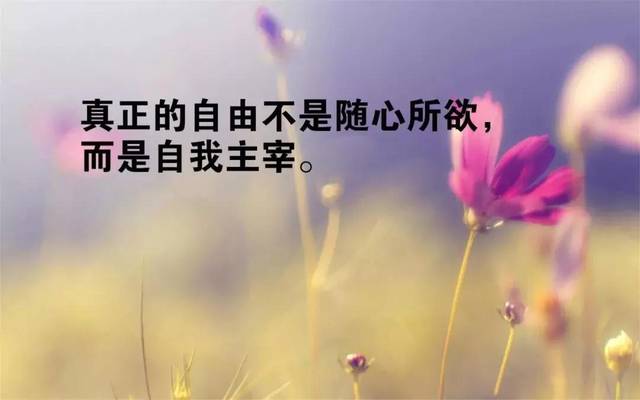 生活百般滋味,人生需要笑对!_手机搜狐网