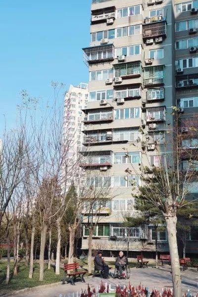 社会治理丨望京花家地北里变身全要素小区 居民乐享宜居"新"生活