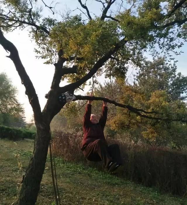 中国大妈喜欢挂在树上,跟老外解释不清了
