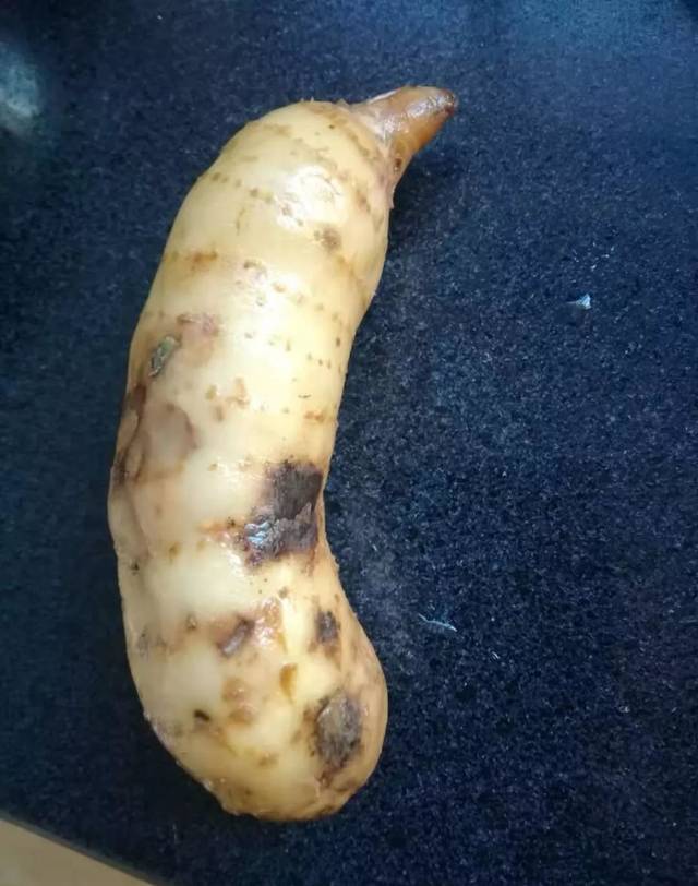 楚雄一菜市场商贩竟给天麻"整容"高价售卖,网友:无良商贩太可恶_手机