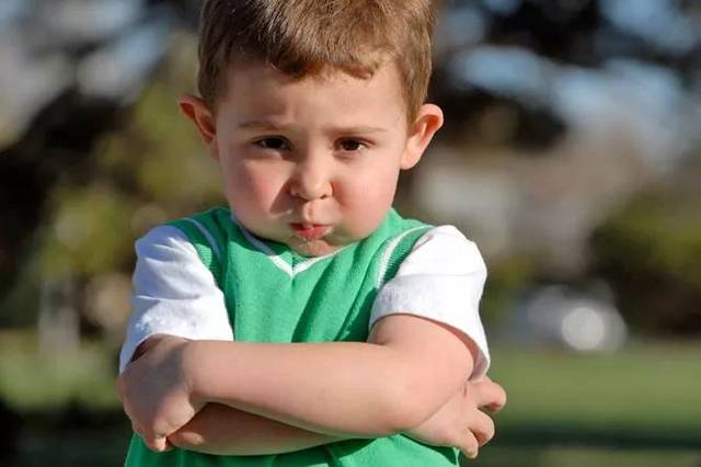 对你说My phone is a lemon,可千万不要翻译为