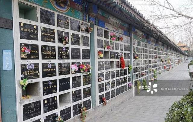 明年柳市将建一个公益骨灰堂,看看建在哪个村?_手机搜狐网